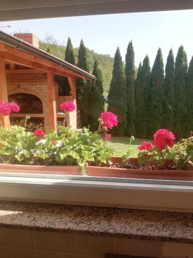 Holiday Homer Kuca Na Obali Vrbasa Banja Luka Esterno foto